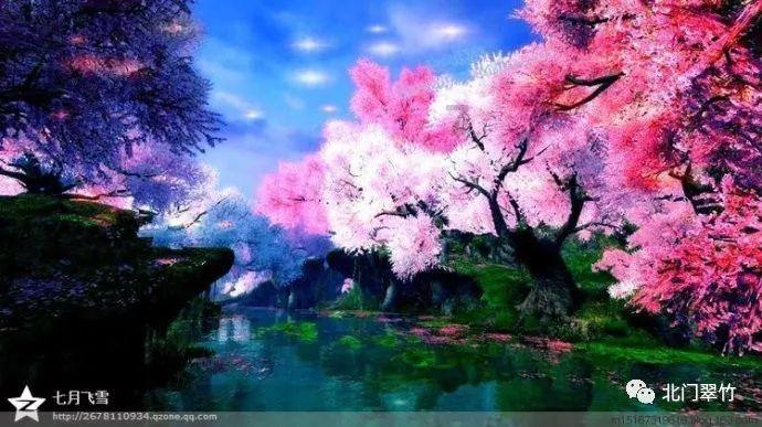 逃离橡子树种植地