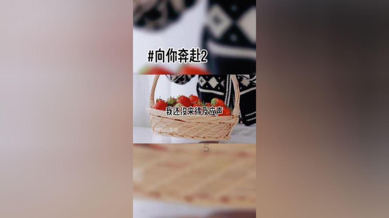 “俄罗斯制造”展销节在沈阳拉开帷幕