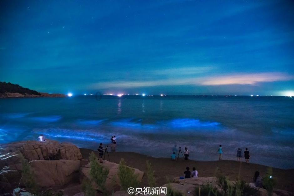 小猫钓鱼开船版最新版下载