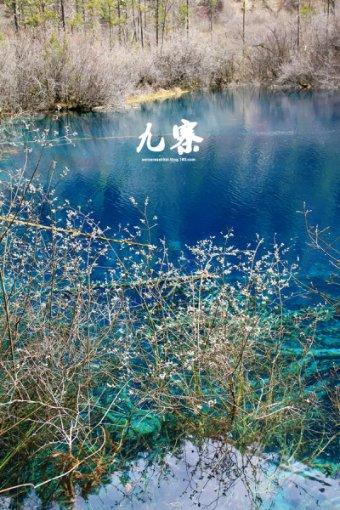 乔和莫莫