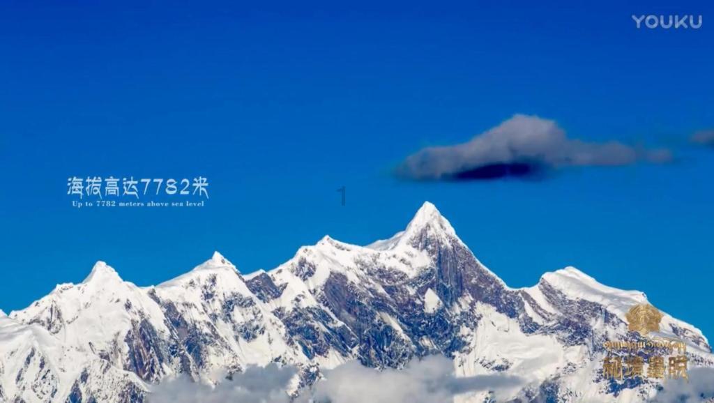 复仇之路无敌版