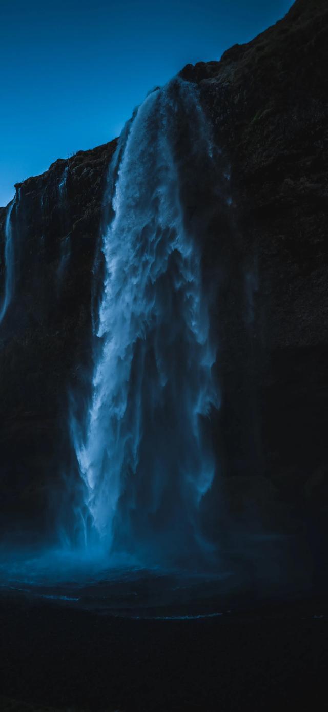 小长颈鹿逃离