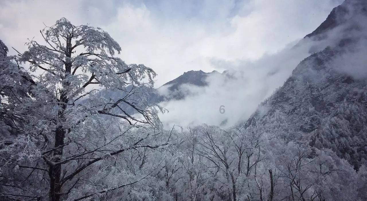 僵尸任务