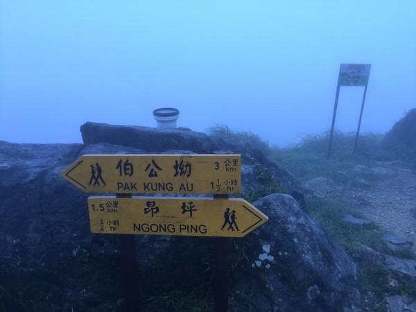 交通高峰期