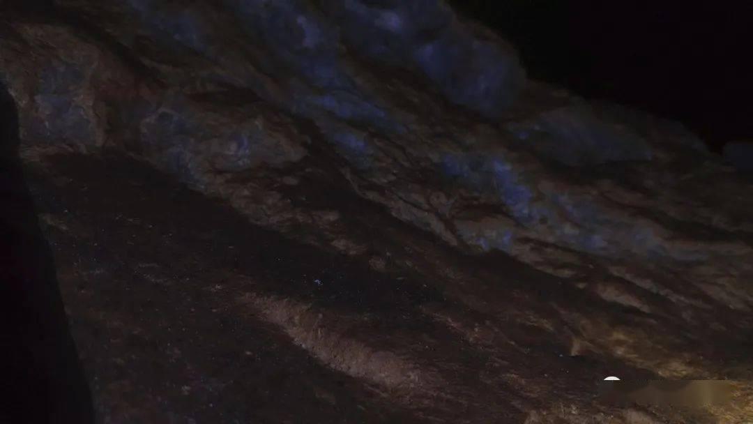西洋参能够提高人体的免疫力,增强抵抗力,减少疾病的发生