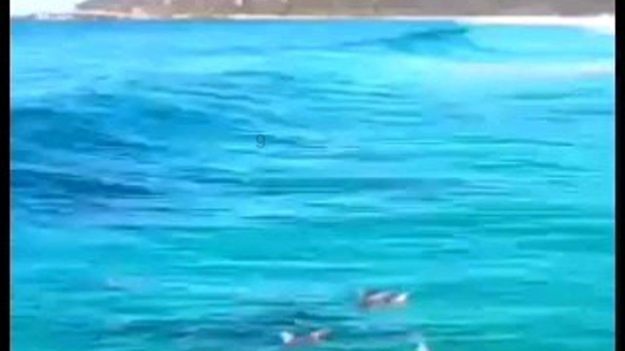 闪电冰火人