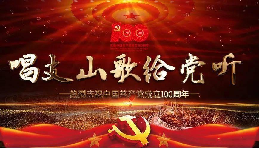 捡到被弃养的猫咪怎么办?——探索最新的冷知识和趣闻