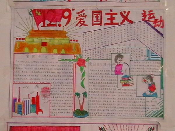 雨后盛放