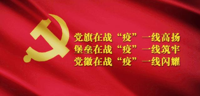 西红柿定植后几天打锌肥好？游戏画面