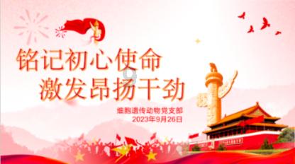 妙鸭相机app下载官网