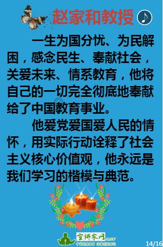 萌宠好又多