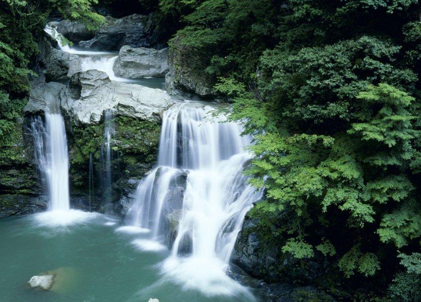 石橄榄煲汤的做法大全？游戏画面