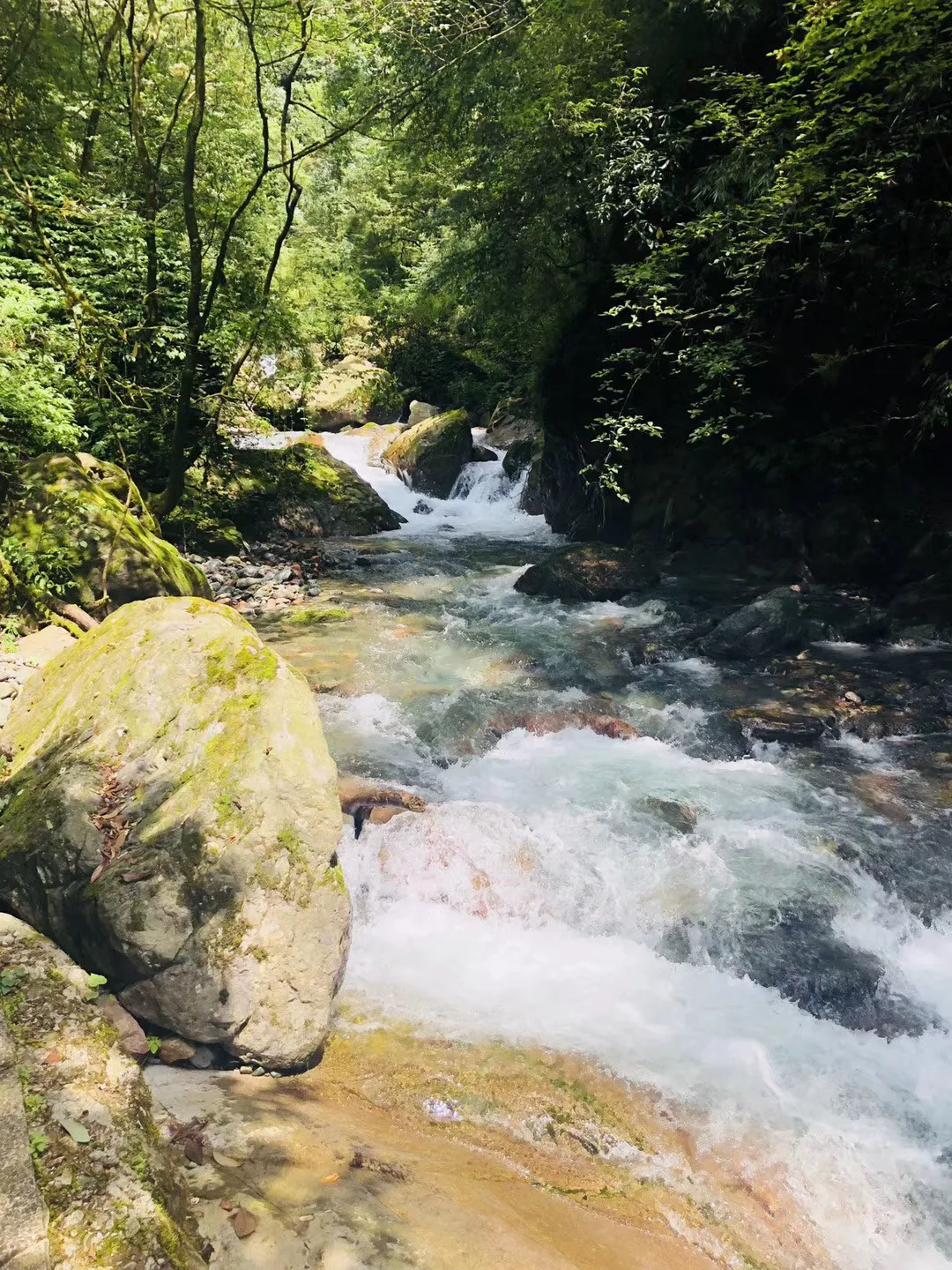 油籽评论:油菜籽暂时好转