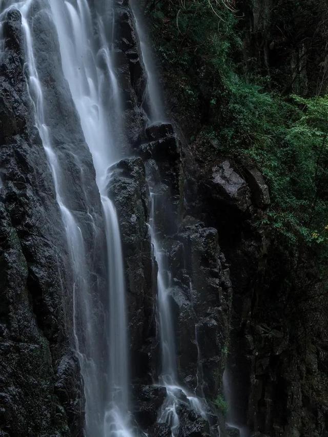 春雨直播app