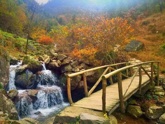 “十四冬”北欧两项完赛 黑龙江代表队获团体冠军