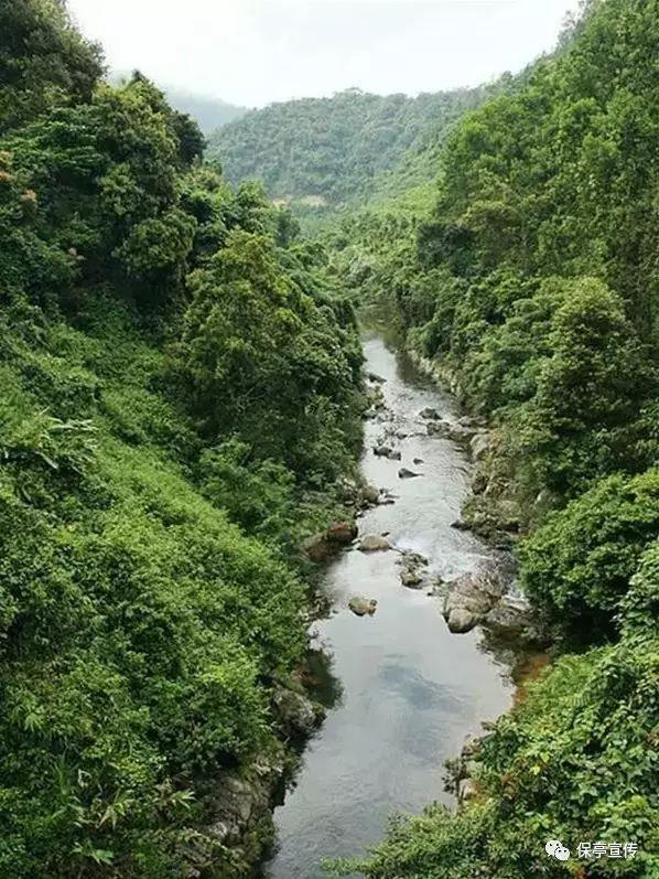 连接字母