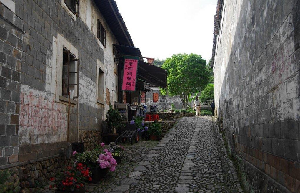 【学思想、强党性、重实践、建新功】凤栖街道:小小蘑菇撑起乡村振兴“致富伞”