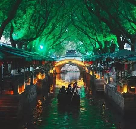 拯救机灵鸟