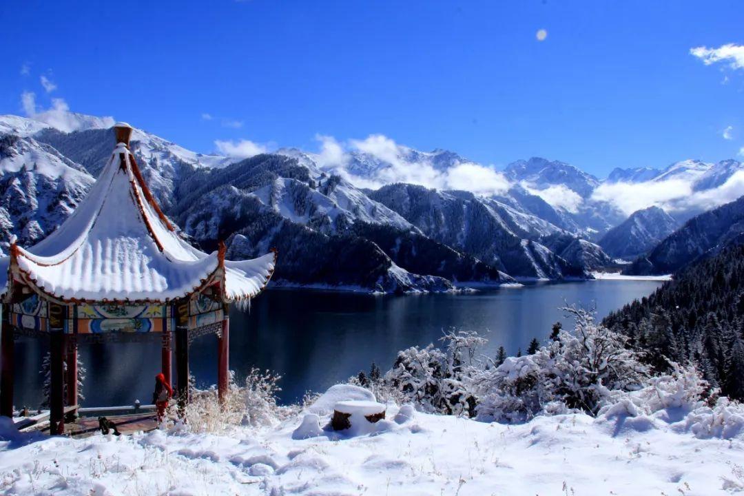 复仇机器人中文版